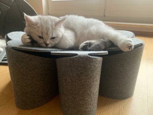 Corbeille Chat Design Flower FuzzPlay – Feutre Gris Clair, Montage Facile & Lavable 40° - Smiles shop