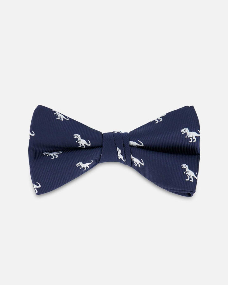 Nœud Papillon Garçon Bleu Imprimé Dinosaures – Accessoire Fête & Sorties Stylées - Smiles shop